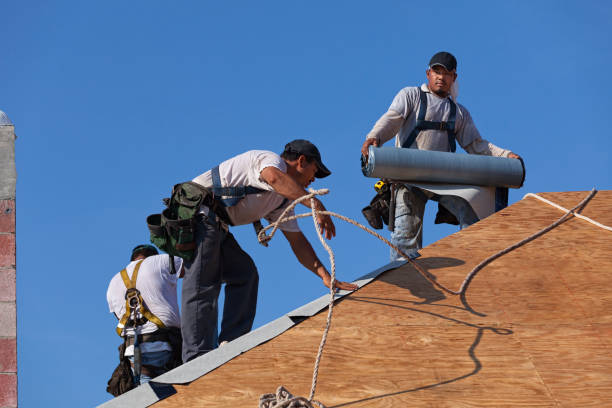 Best Gutter Installation and Roofing  in Forest Hill, TX